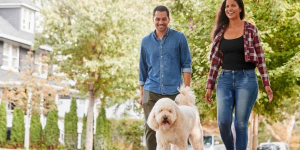 AADAP - Asian American Drug Abuse Program