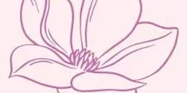 Magnolia Women's Recovery Programs