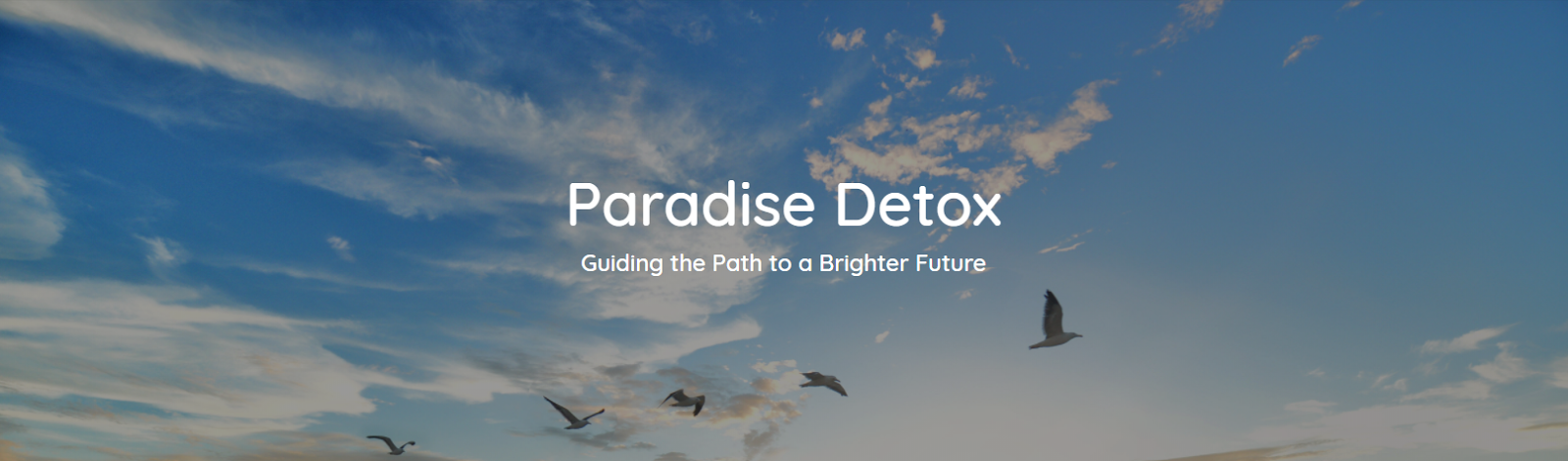 Paradise Detox